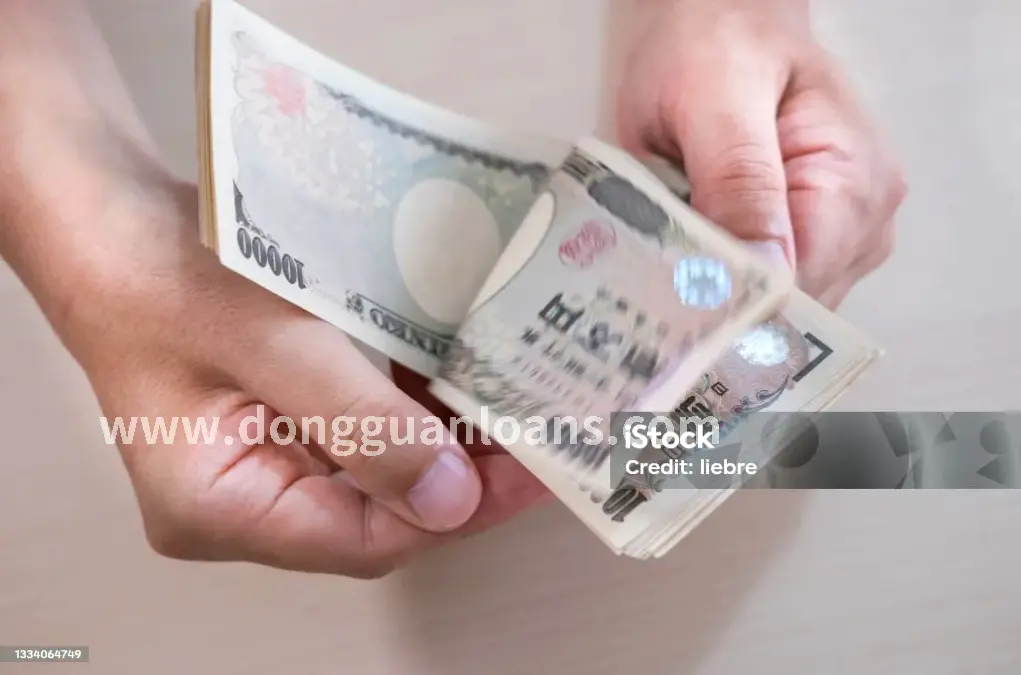 还款指南
