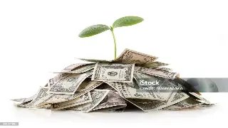 揭秘东莞金融江湖：小贷公司、担保机构，谁才是真英雄？ poster