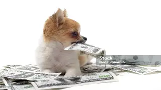 深度解密：东莞金融圈的那些事儿，不止是钱！