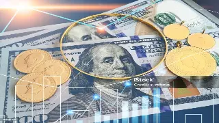 东莞“信用脉搏”：金融文化如何塑造城市未来