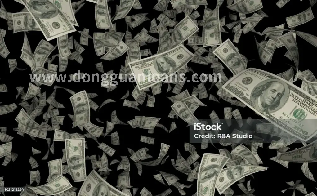 信用查询结果展示