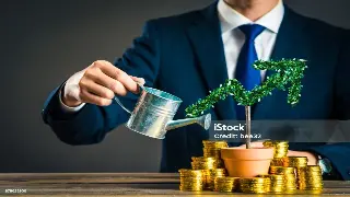 洞悉金融生态：揭秘东莞贷款行业文化的深层逻辑